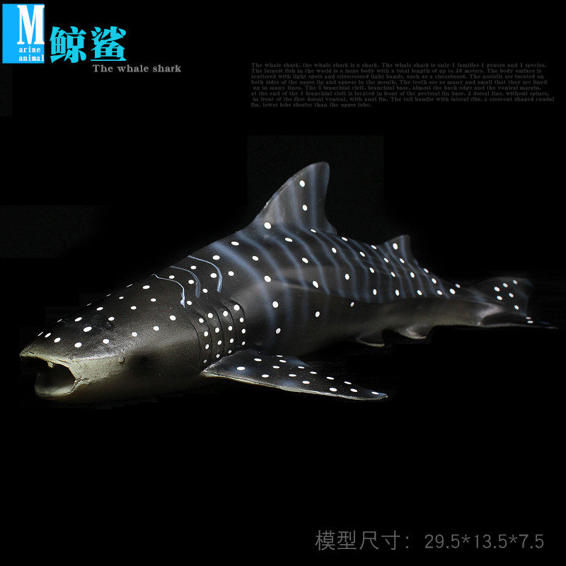 Marine biological model toys whale shark tofu shark big shark large shark shark solid doll doll doll doll doll doll doll doll doll doll doll doll doll doll doll doll doll doll