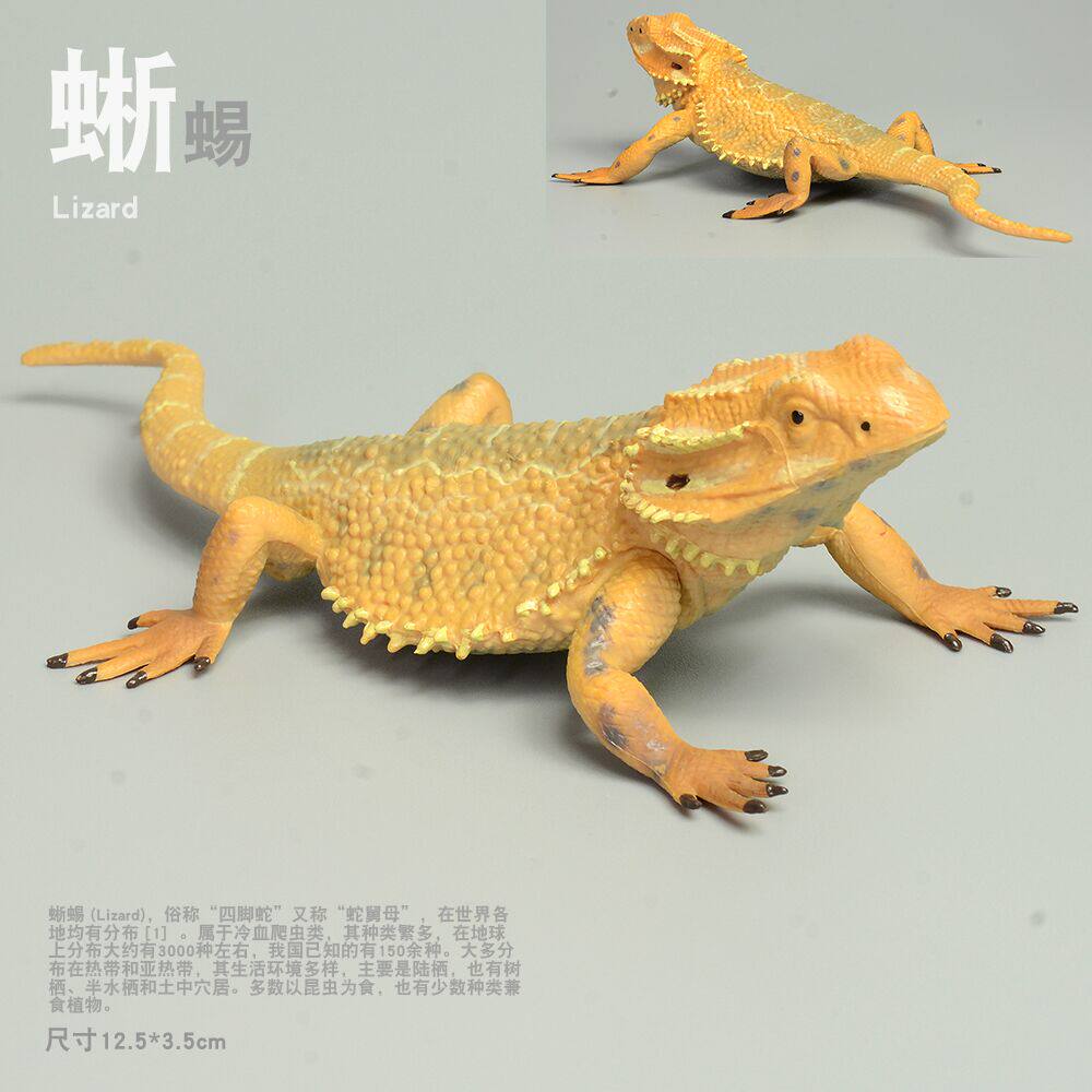 Child Solid Simulation Wildlife Model Toys Reptile Lizard Chameleon Chameleon Snake Umbrella Four Feet Snake