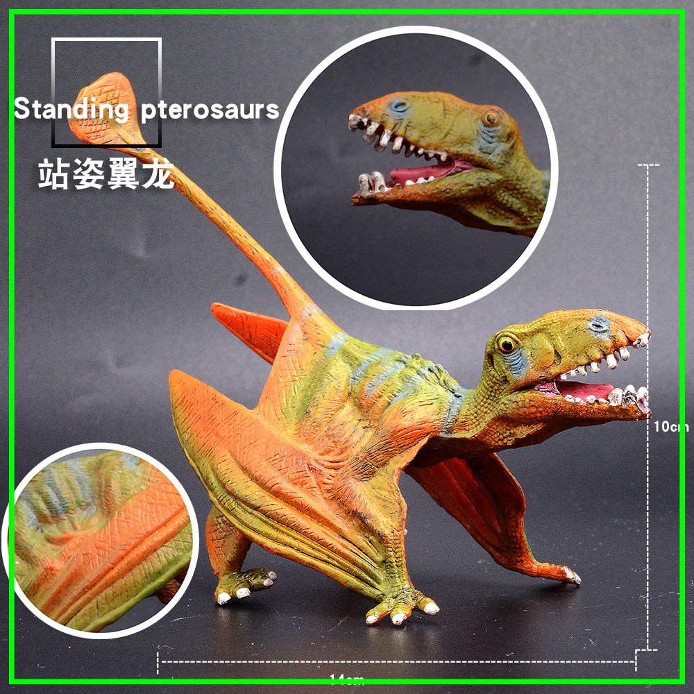 Model Dinosaur - stand - up - and - tooth toy wingdragon