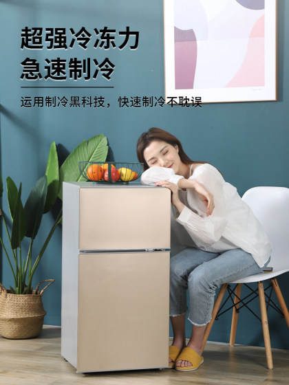 小冰箱小型家用宿舍出租房迷你双开门电冰箱一级能效节能冷冻冷藏