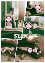 TBLeague 1 6 Steel Bone Seamless Inclusion Medium Chest Female Body S18A White S19B Wheat Score