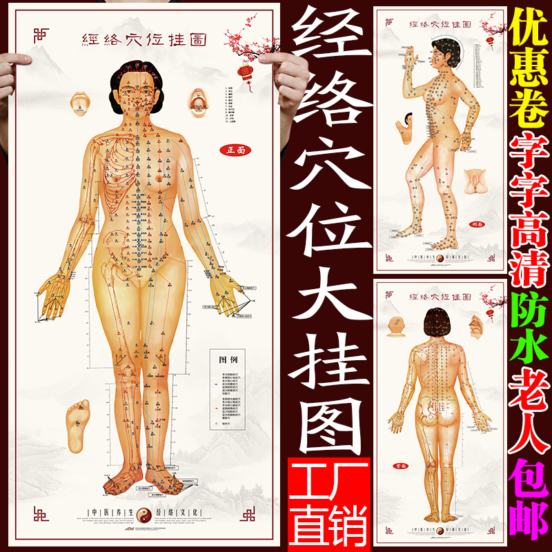 Acupuncture Point Charts Online