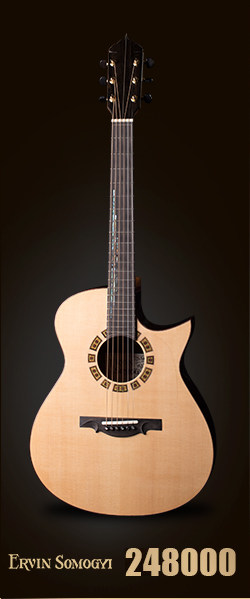 Гитара, связанная с продажами_01.jpg