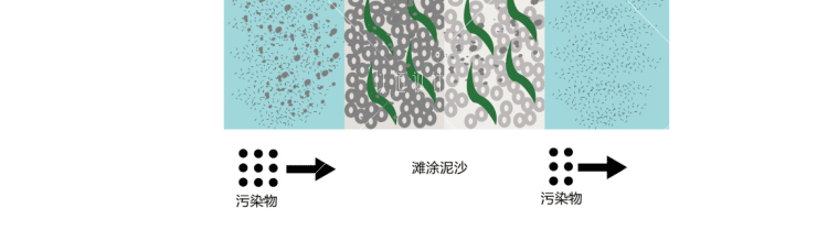 J32-农业园 生态旅游 休闲湿地度假区规划方案 原创设计素...-19