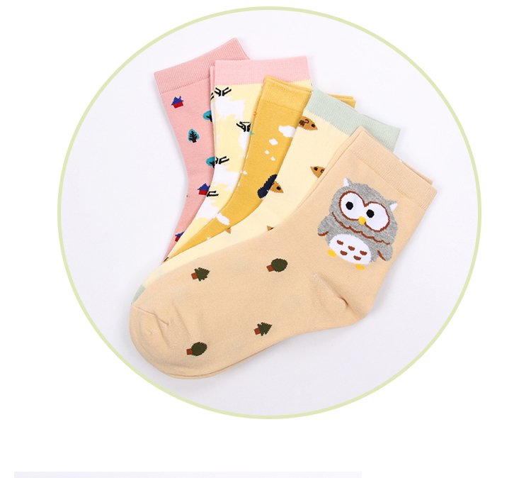 Chaussettes - collants BILL ALWAYS DFY-012 - Ref 779197 Image 13