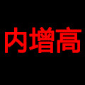 内增高轻奢潮鞋