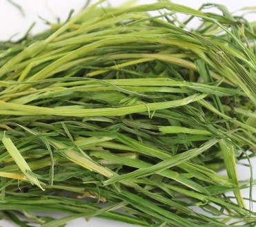 2 pieces of baked green oats oats 200g alfalfa mate rabbit grass ragweed fiber grass