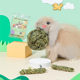 Jessie Rabbit Relieves Boredom Toy Grass Ball Timothy Grass Pet Rabbit Supplies Totoro Guinea Pig Bite Teeth Snacks