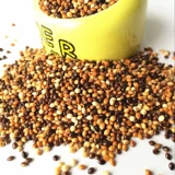 Черно -белые, красные и желто -зеленые пельмени 5 Цветные смешанные тигровые кожаные птицы едят птичьих пищи. 2,5 кг бесплатная доставка