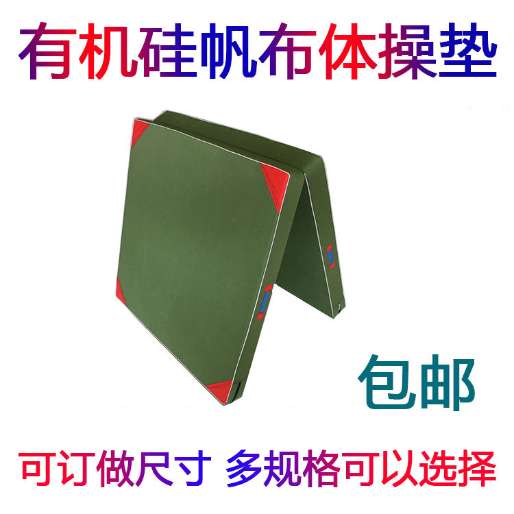 Factory price promotion Folding sit-up mat Sports Mat Gymnastics Mat Fitness Mat Sponge Training Dance mat