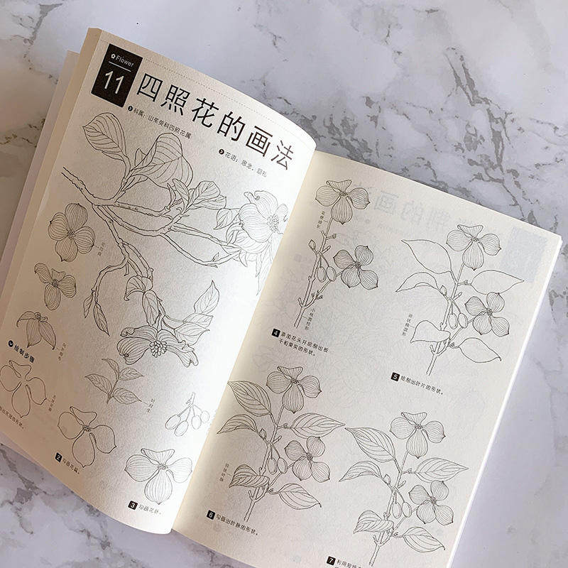 [USD 15.66] Pencil Thread Drawing Techniques Seventy Types of Floral ...