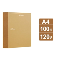 Светлый цвет [120g] A4 100 фото