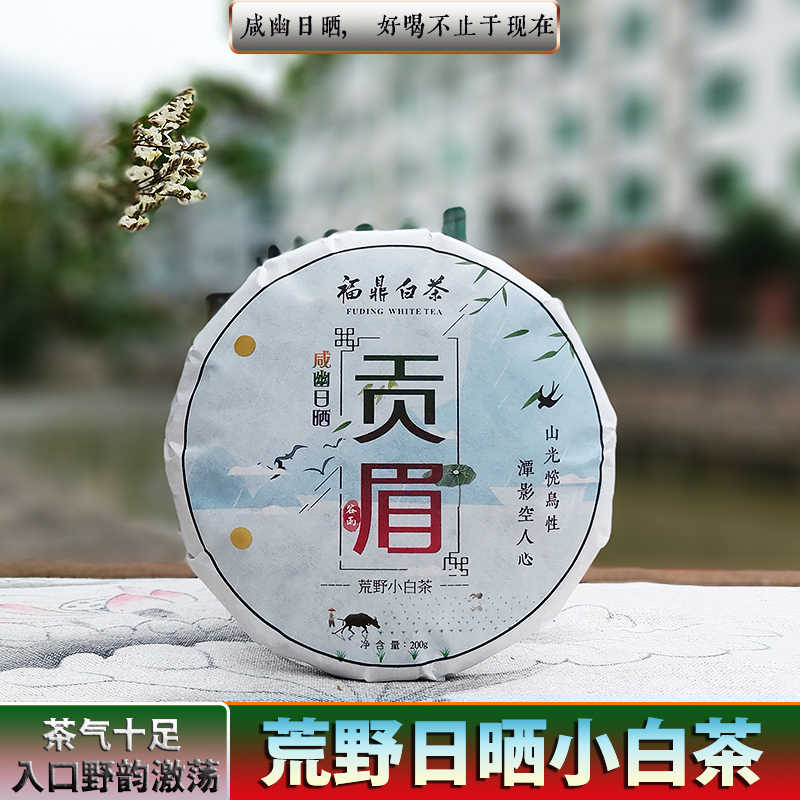 2021年新茶上市福鼎白茶贡眉雨前荒野日晒高山菜茶白牡丹300g