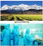 12.12 Lijiang Black Maca Powder Black Marcine 2000 Таблетки 2 фунта 3 штуки и 1 штуки отправлены для 4 кусочков таблеток без кунжута.