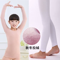 Цвет кожи топ+белые девять точек [осень и зима/тонкий бархат]