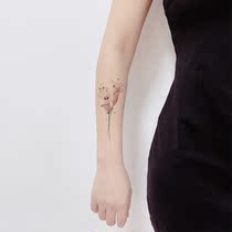 Lotus root powder ink Lily tattoo stickers personality sexy lasting cute hipster stickers tattoo big coffee original