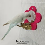 Птичье зеркальная платформа Parrot Toys Set Set Setult