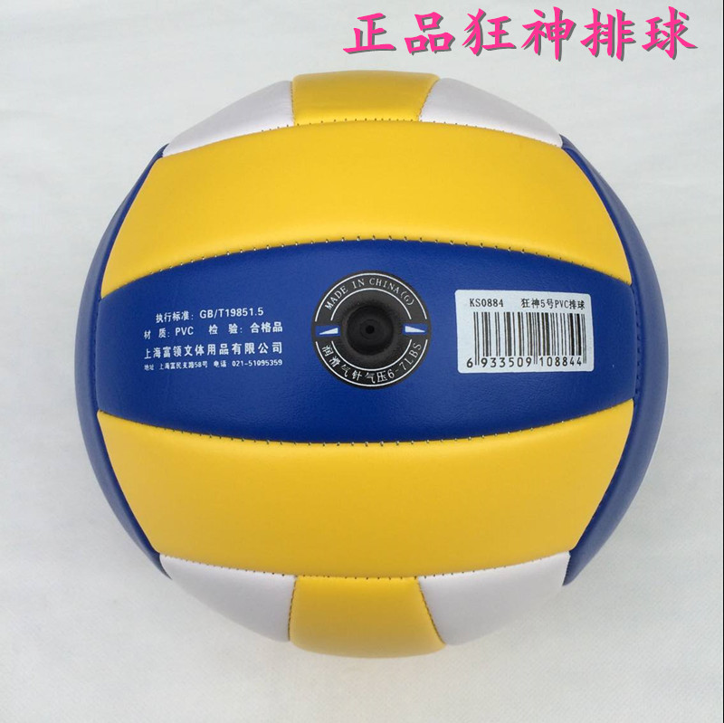 Ballon de volley-ball - Ref 2010115 Image 10