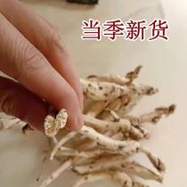 Wild South Sand Ginseng season New goods Guizhou Natural wild South sand ginseng No sulphur dry goods 250g Saucepan Soup Ingredients