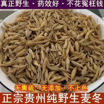 Wild Dwarf Lilyturf 500g When New Cargo Natural Tite Level No Sulphur Natural Color can be matched with Milk Vetch asparagus