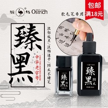 Ostrich ink Zhen black ink liquid ink pen with beautiful pen soft brush writing Hard pen calligraphy Office practice