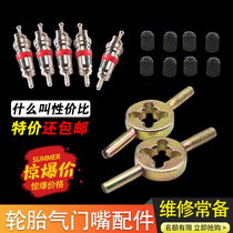 Vacuum tire valve core car motorcycle electric vehicle valve core bicycle valve needle valve wrench
