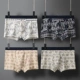 Nam Cực đồ lót nam cotton cotton lụa phương thức quần short boxer thanh niên quần vuông phiên bản Hàn Quốc của quần thủy triều quần sịp nam