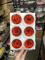 Rose Yongshenghua B- Class tail box Non-Wither flower practice flower activity material package diy glass cover photo frame