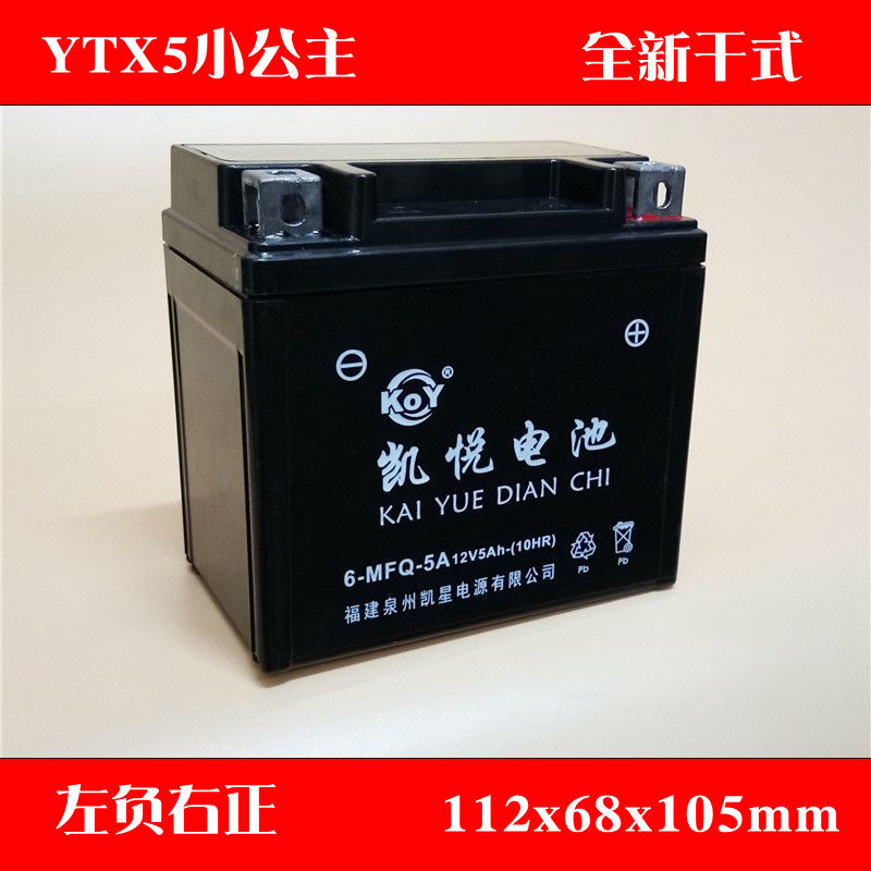 Locomotive 12v5a Maintenance-free Dry Cell Fuxi Princess 100 Pedal YTX5L Joyful Garrie Eagle Battery