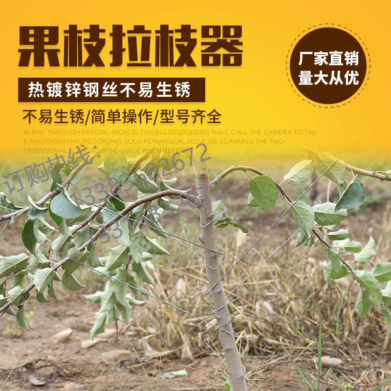 Yongde Assistant trunk fruit tree opener branch branch branch tool high spindle type two layer branch