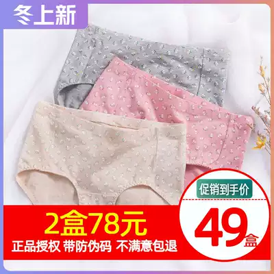 3-Piece top melon top Piperi Lady mid-high waist women's underwear cotton printed floral triangle underwear head safety pants