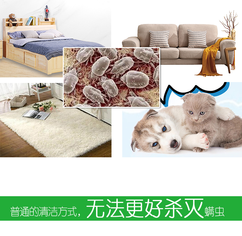 raid xịt côn trùng Bọ ve tự nhiên phun thuốc thảo dược Trung Quốc chống diệt bọ chét dán miếng dán giường 祛 螨 Thuốc tẩy giun nhà - Thuốc diệt côn trùng bình xịt diệt gián