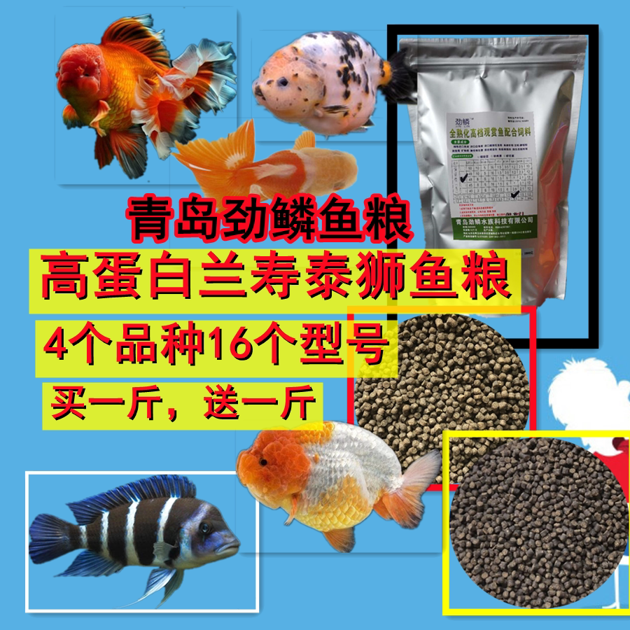 Jinlin Lanshou Thai lion goldfish cichlid high-protein red-haired head feed horse head fish food