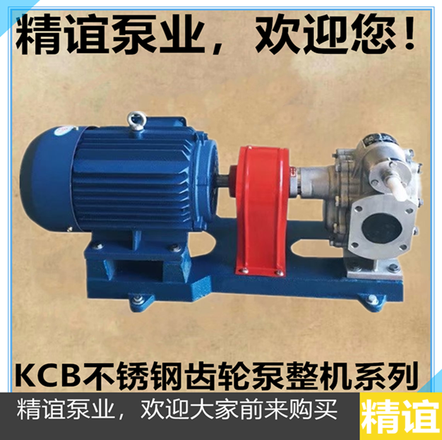 304 material high temperature electric stainless gear pump KCB-200 self-suction pump gear oil pump food pump complete machine