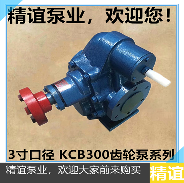 High Temperature Electric Copper Gear KCB300 Explosion Protection Pump Gear Pump Petrol Pump Diesel Oil Pump Alcohol Pump Formaldehyde Pump Head-Taobao