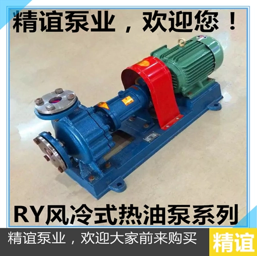 Высокотемпературный тепловой проводящий масляный насос Ry20-20-125 Устойчивость Специального насоса.