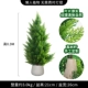 0,9M Cypress Tree+Cement Basin o Модель
