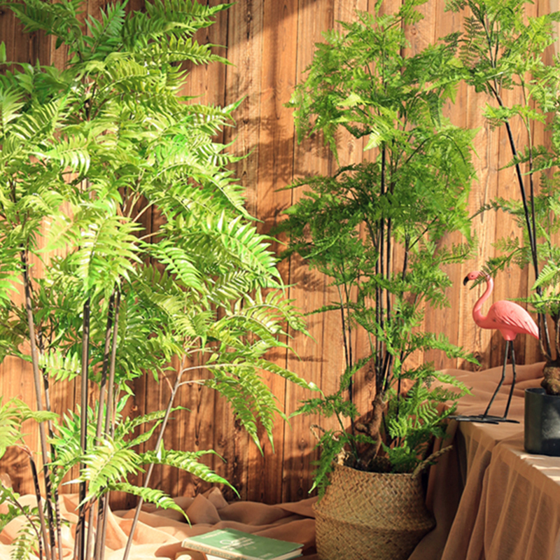 Seven MOS simulation green plant large bonsai Nordic potted plant floor ornaments alacia tree black bone Awn Fern