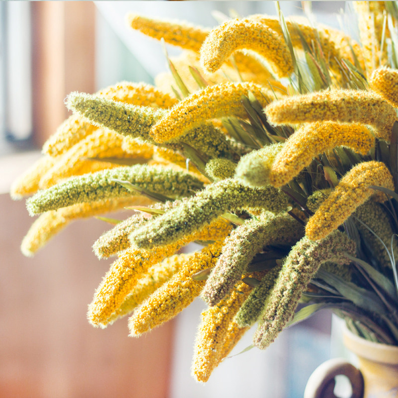 Seven jasmine cat tail valley fun simulation of cereal millet valley home beautification decoration flowers to take picture props