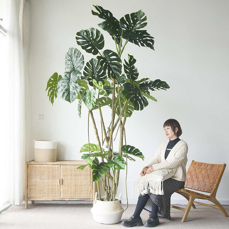 (Qimo) simulated large giant turtle back tree bonsai green plant decoration turtle back bamboo forest system floor ornaments