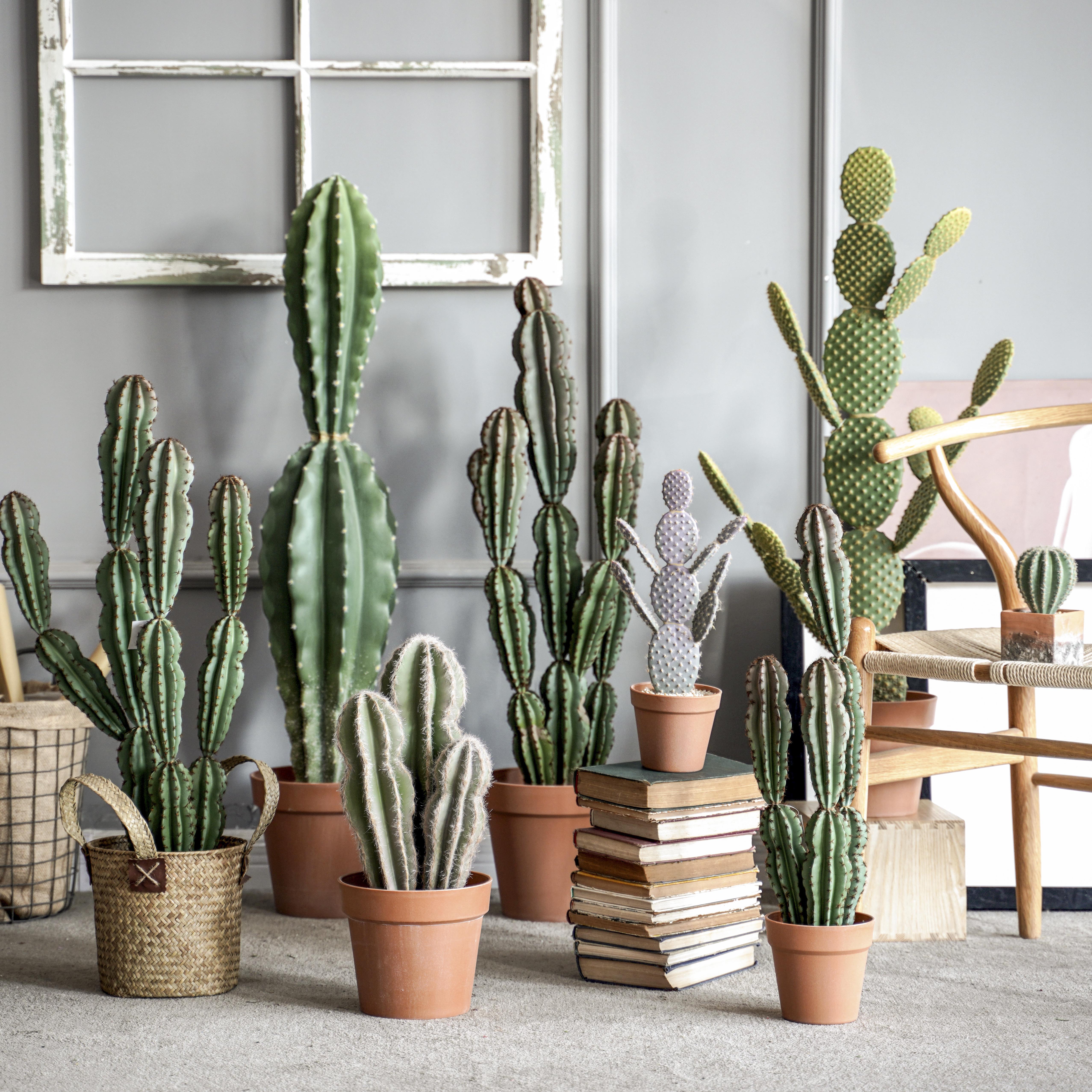 (Seven Jasmine) Emulated Cactus Bonsai Pendulum with Mexican Sendai Column Ball Home Desktop Shop Window Decoration-Taobao