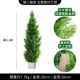 1,6 млн. Cypress Tree+Cement Basin D -size