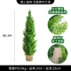 1,8 млн. Cypress + Grass Basket