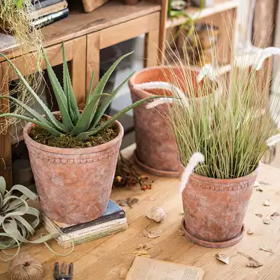 (Seven Mo) retro red pottery color large flower pot decorative flower Ware old flower pot soil training high-grade European gardening