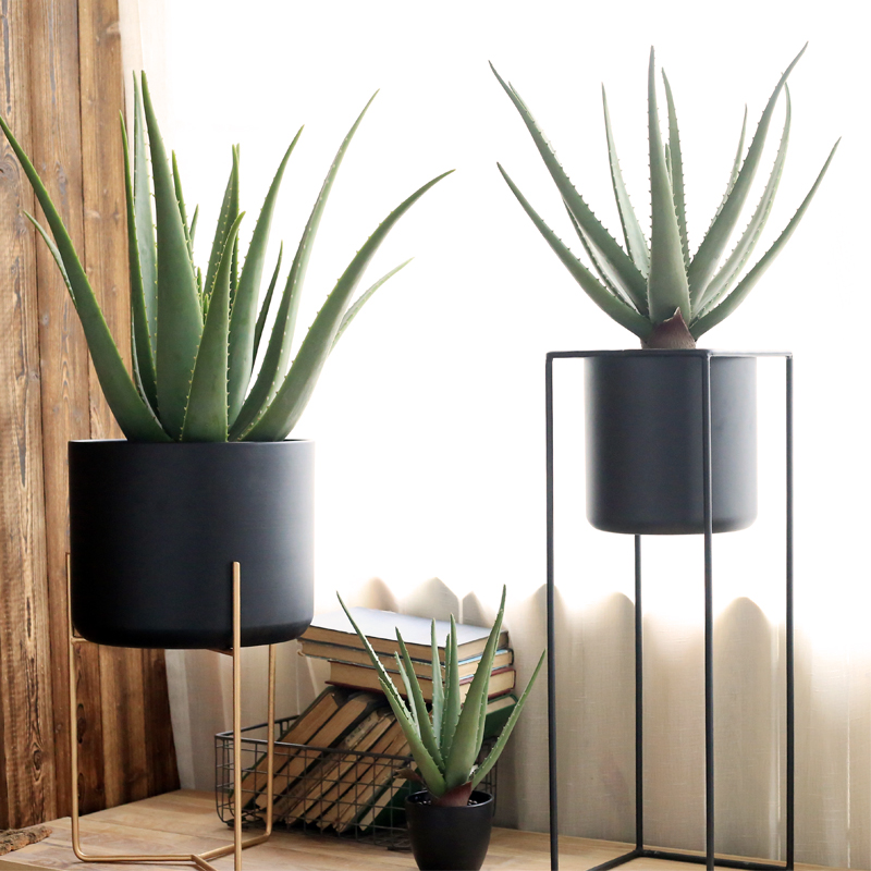 Seven Jasmine emulated Aloe Potted Plant Multi-Meat Plant Bonsai Decorative Swing Trim Table Green Plant American Kuraçao Style