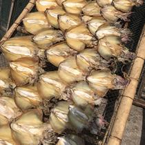 Fujian specialty seafood dried squid light-dried large dried cuttlefish seafood aquatic products dried squid dried cuttlefish