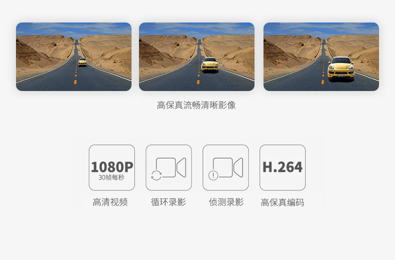 D900-790-TM_09.jpg