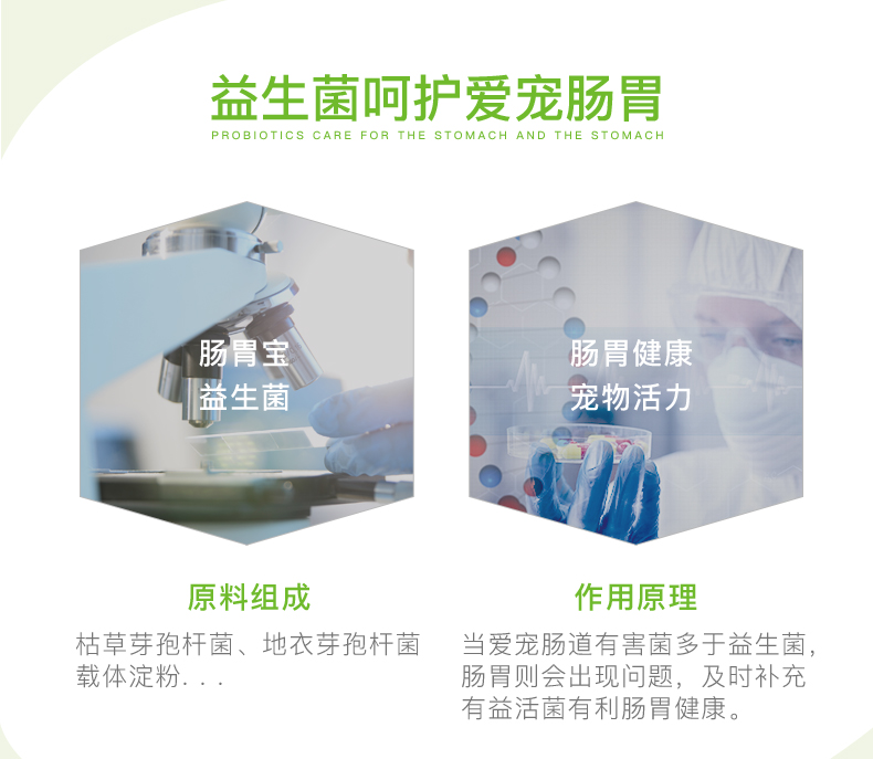 Thú cưng nhỏ dạ dày kho báu men vi sinh chó mèo mèo cưng đặc biệt gấu vàng lông chó con điều hòa dạ dày 10 bao bì - Cat / Dog Health bổ sung sữa predogen
