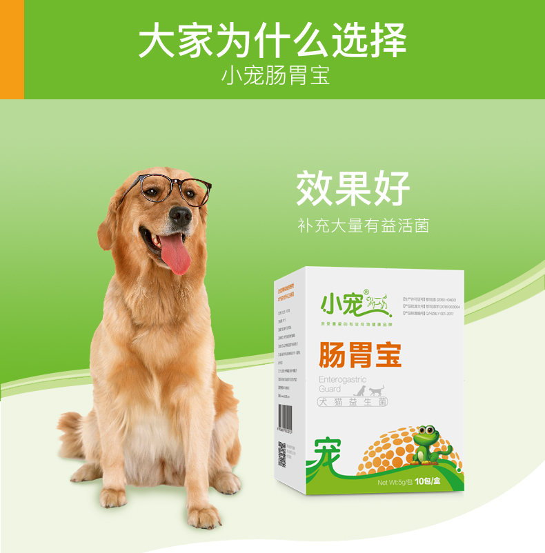 Thú cưng nhỏ dạ dày kho báu men vi sinh chó mèo mèo cưng đặc biệt gấu vàng lông chó con điều hòa dạ dày 10 bao bì - Cat / Dog Health bổ sung sữa predogen