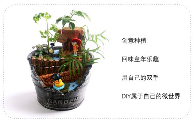 My Neighbor Totoro Xiaomei Millet Doll Hand Doll Succulents Micro Cảnh sinh thái Chai trong nhà chậu hoa trang trí trong chậu phụ kiện trang trí nhà đẹp
